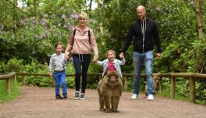 Trentham Monkey Forest